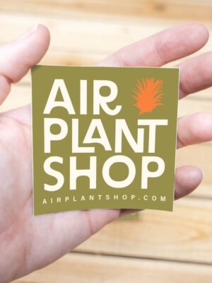 air plant shop vinyl brand sticker 3x3 inches